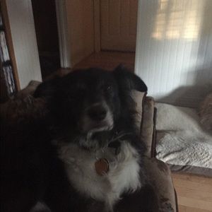 Meet your Posher, Vickie